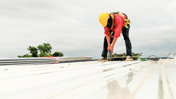 Best Roof Coating and Sealing  in Roselle, IL