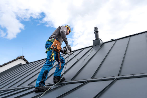 Best Gutter Installation and Repair  in Roselle, IL